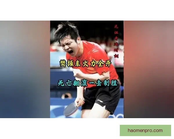 樊振东神级回球震撼全场西蒙直言这球将记一辈子乒坛经典永恒瞬间