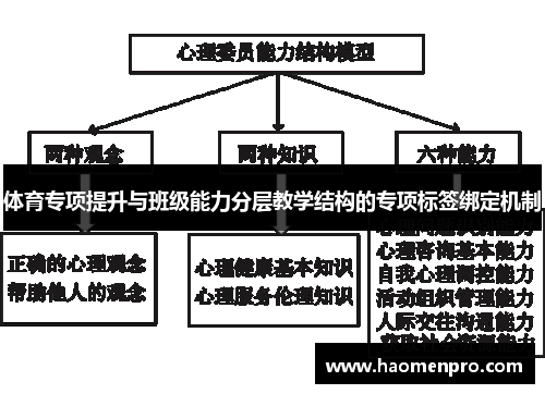 体育专项提升与班级能力分层教学结构的专项标签绑定机制